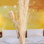 Mercure Centre Cathédrale Hotel 4*